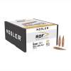 Nosler 6MM (0.243